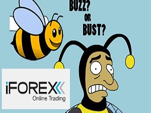 Buzz, or Bust? Iforex